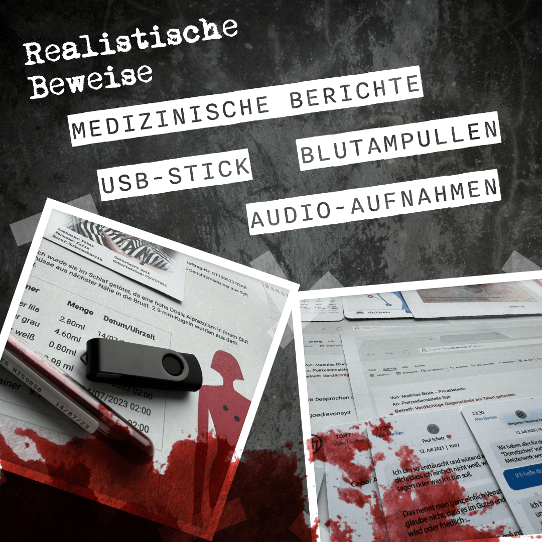 Der Mord auf Sylt - Detective Dox